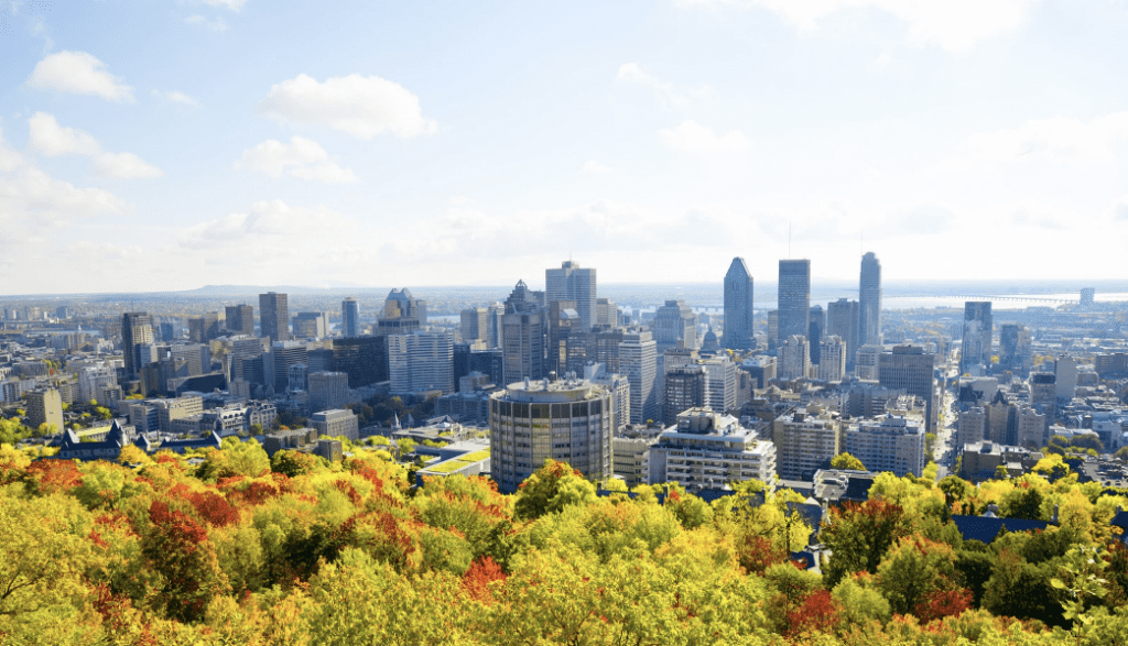 paysage de Montréal avec des arbres et des gratte-ciel