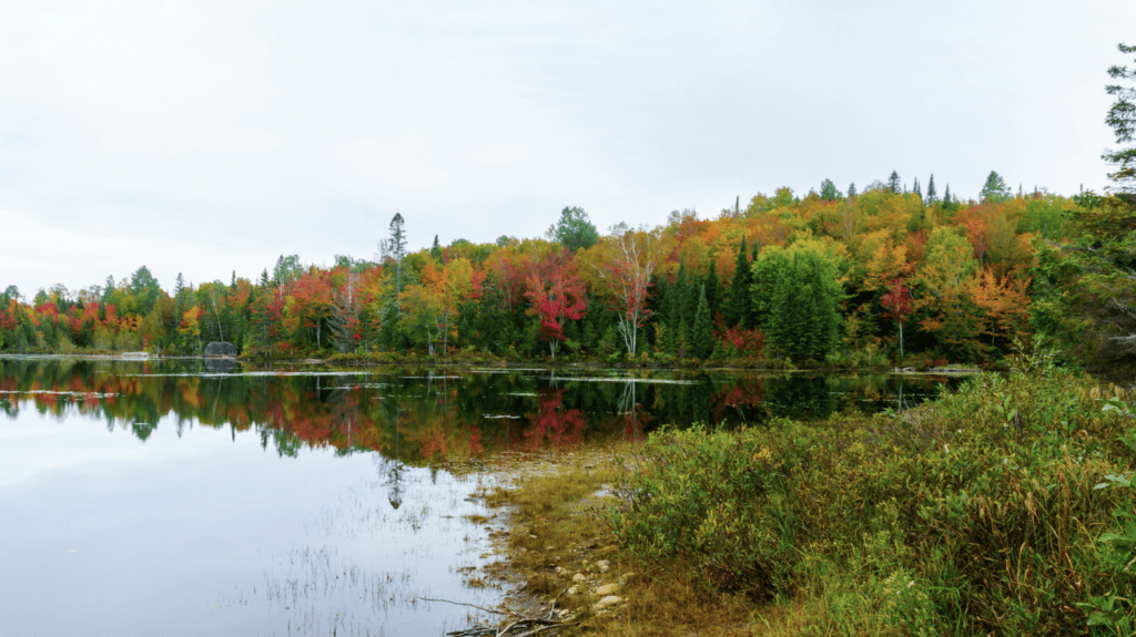 Vue de Sainte-Marguerite-du-Lac-Masson au Quebec avec un lac paisible entouré de forêts