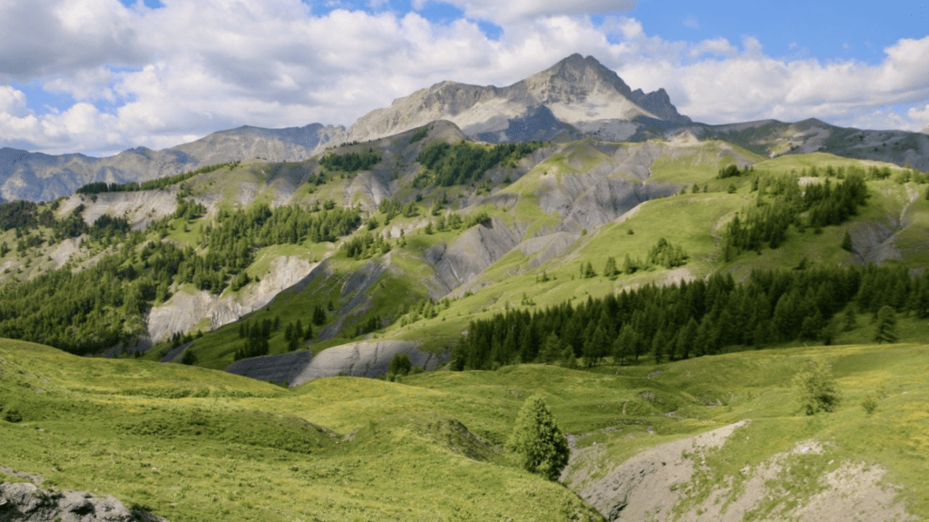 col des champs